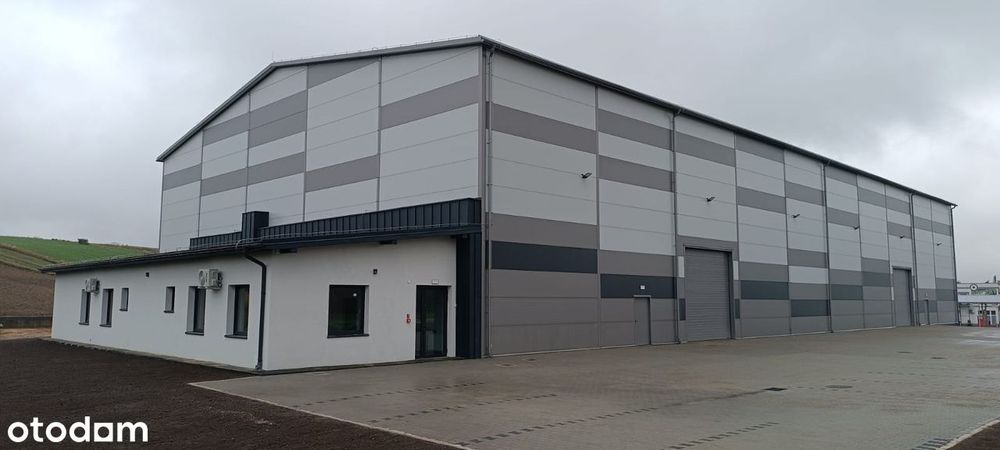 Hala/ magazyn/logistyka/wysokie składowanie 2000 m2-12m  Brzezie DK94
