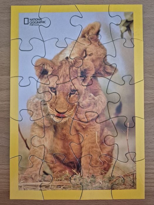 Puzzle National Geographic - Leão