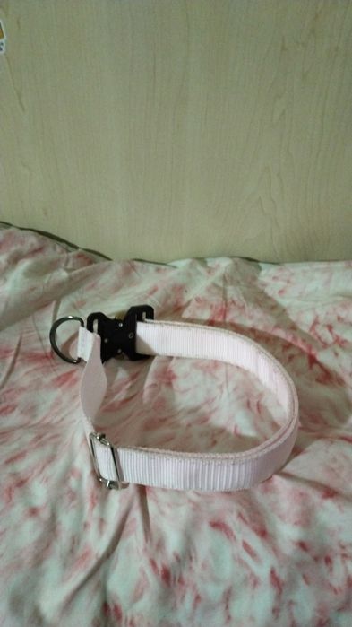 Ошейник на кобре