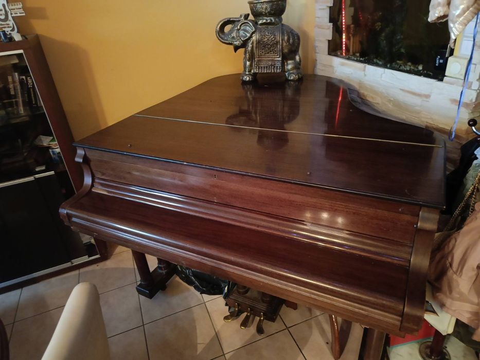 Fortepian Pettersson and Soon