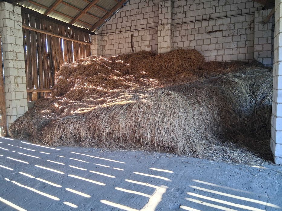 ODDAM ZA DARMO Siano i słomę !!! Lipsko