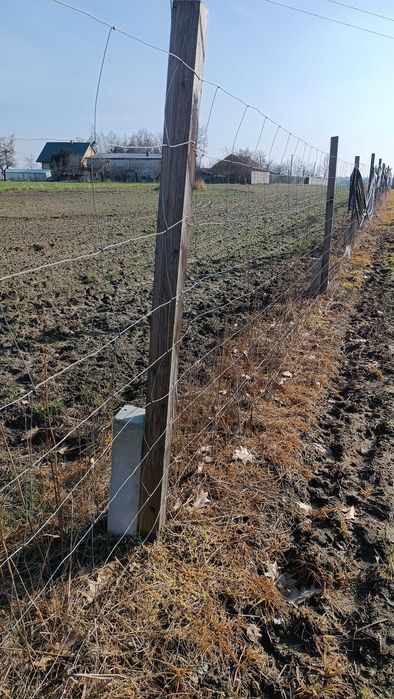 Kantówki/kołki drewniane