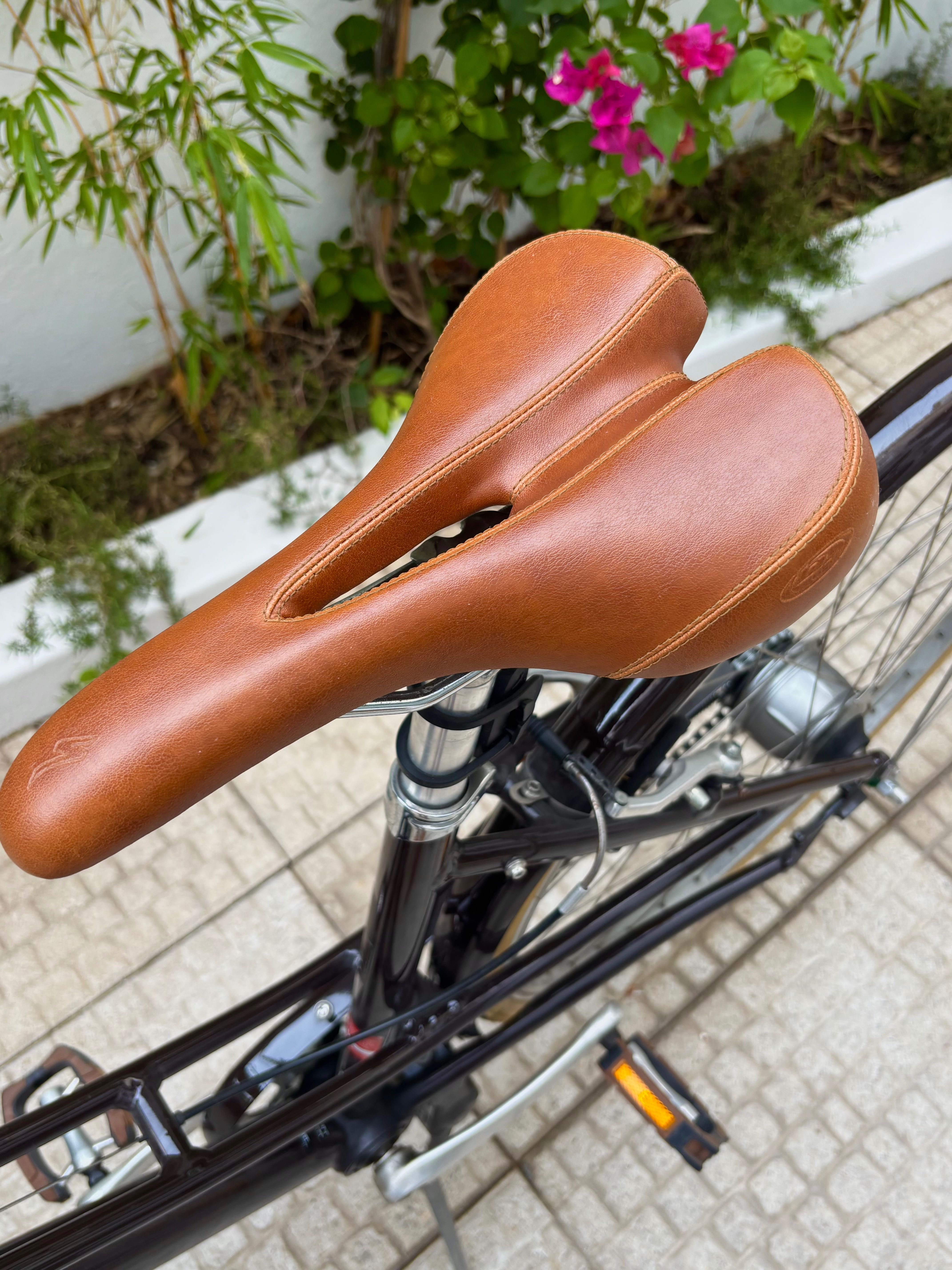 Bicicleta retro topo de gama Specialized nova