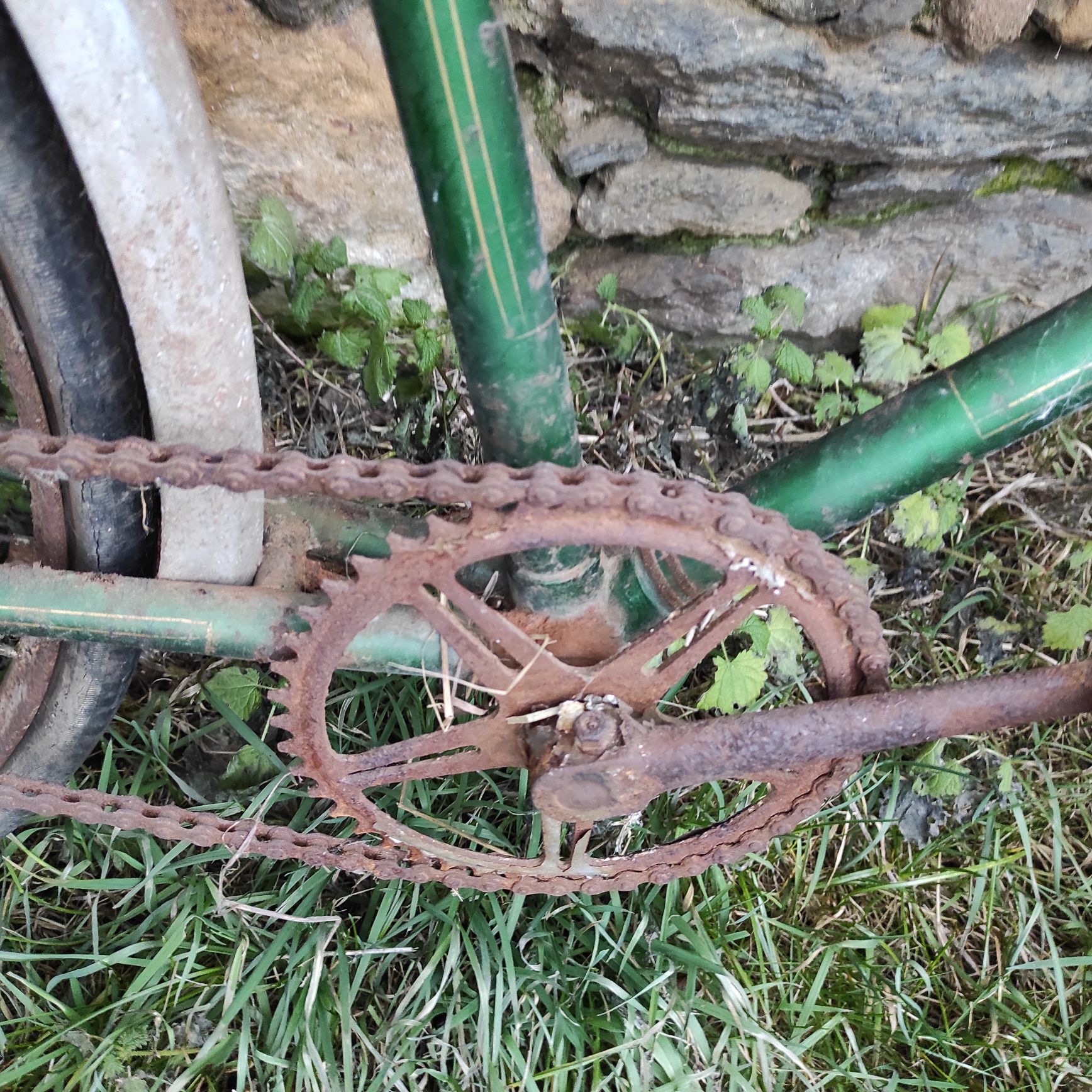 Stary rower węgierski R26