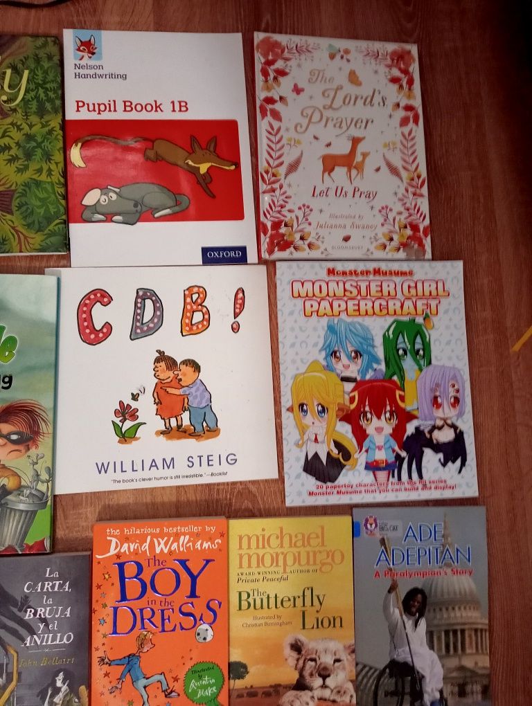 Duży pakiet książek zestaw dla dzieci w języku angielskim english