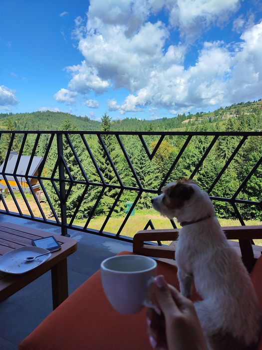 Котедж в Карпатах (Яблуниця)