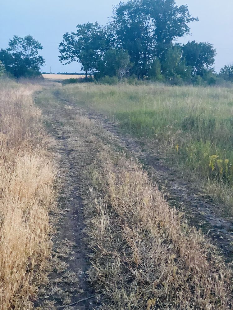 Продам земелтну ділянку власник