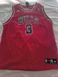 Camisa Ben Wallace Chicago Bulls M
