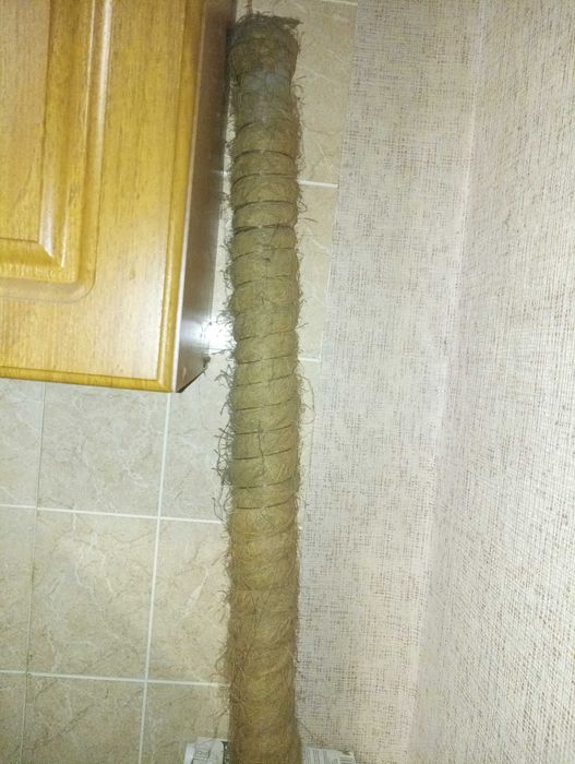 Подпор для цветов или комнатных растений рост 190 с кокосовым волокном