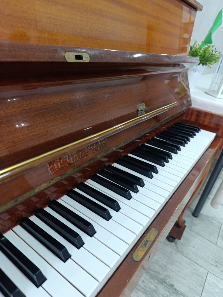 Piano acústico vertical de marca alemã: Fuchs & möhr