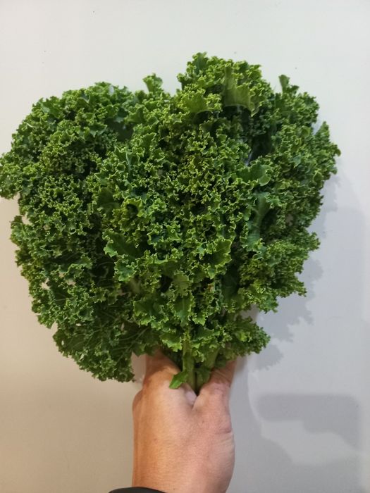 Капуста кале кейл