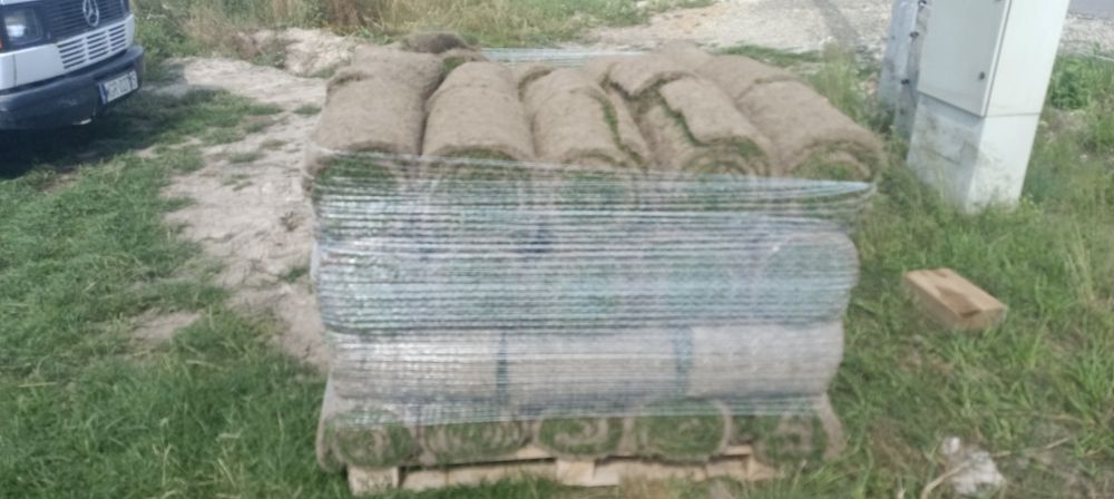 Trawa z rolki,trawnik z rolki