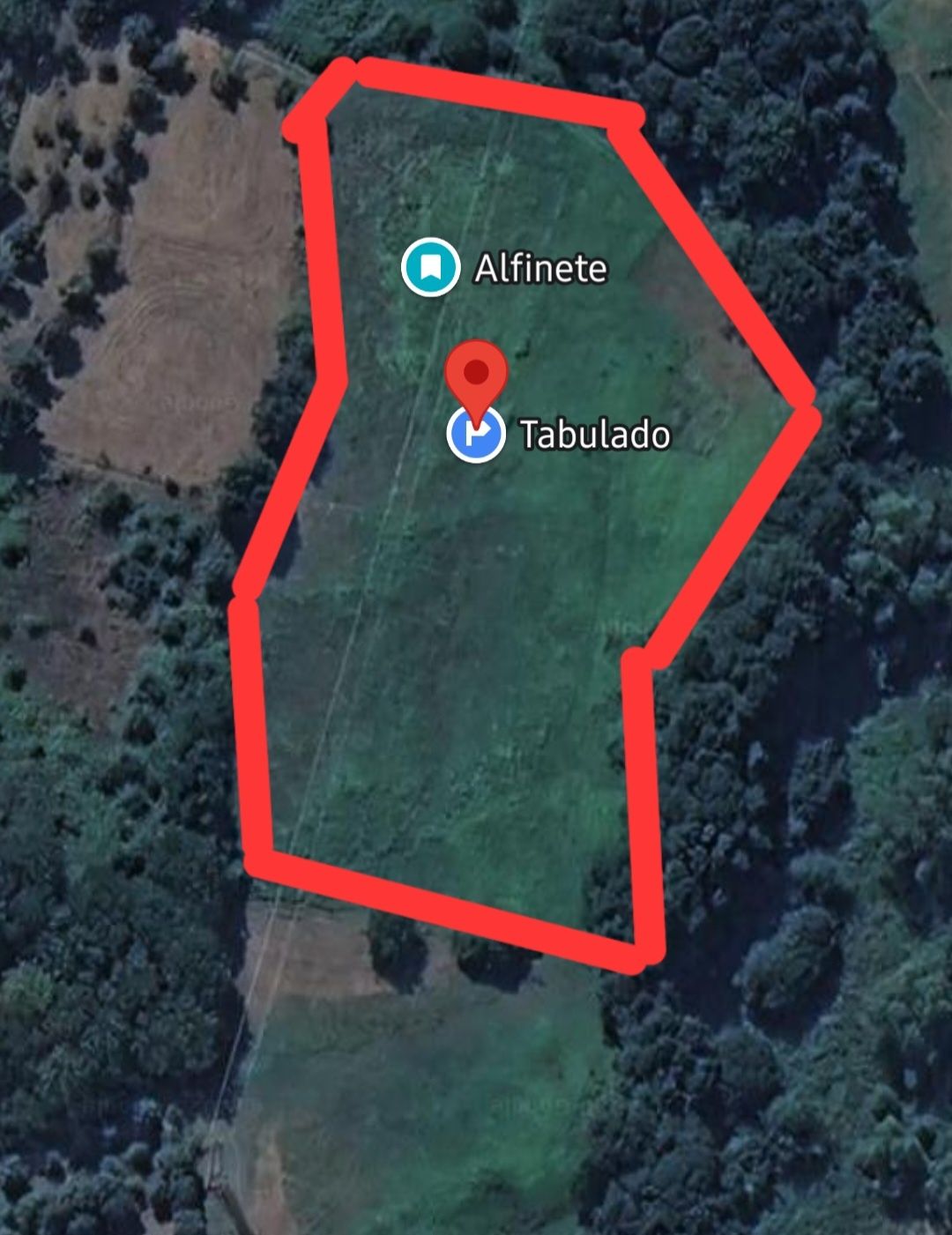 Terreno Sátão 8ha