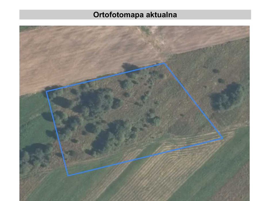 Sprzedam działkę 45ar w Lipnicy Wielkiej - widok na Babią Górę i Tatry