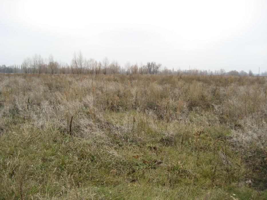 Супер ціна! Без комісії. Продам участок Соболевка, без комиссии