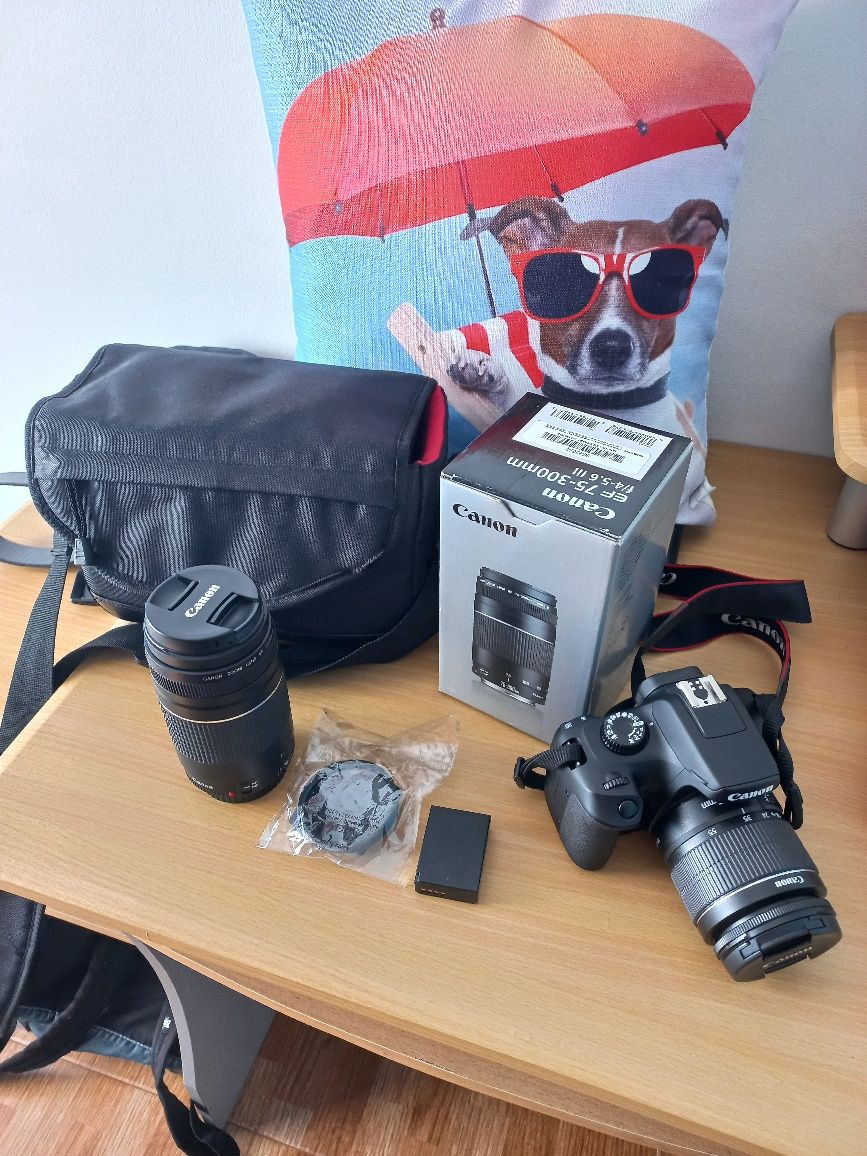 Canon 4000d com lentes