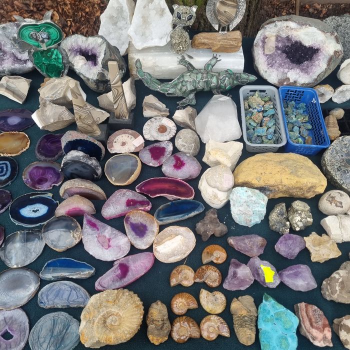 Minerały Skamieniałości Mix