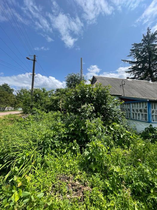 Будинок село Шапіївка