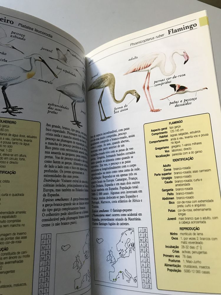 Guia de campo das aves de Portugal e da Europa