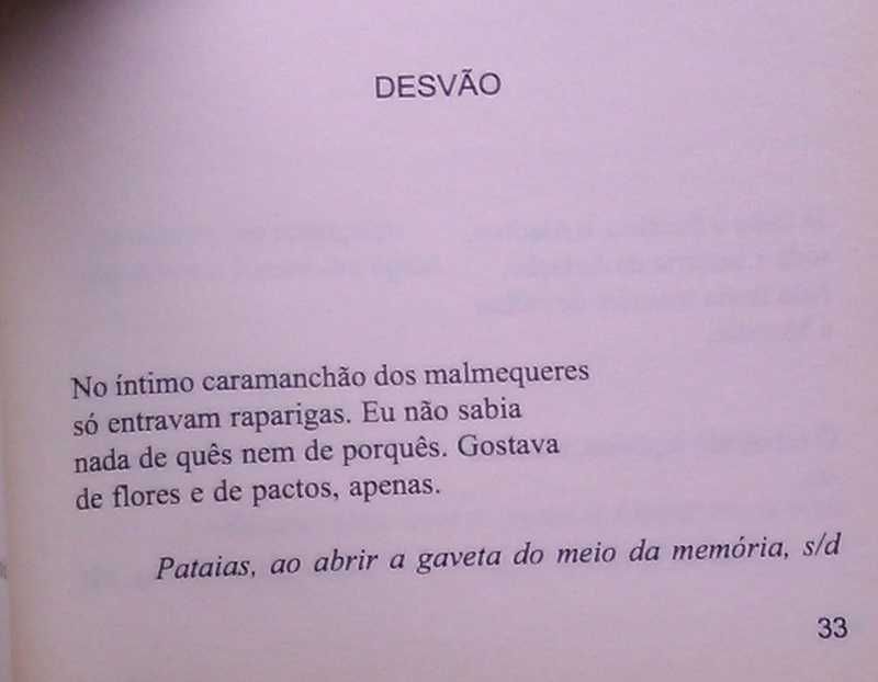 A poesia de Paulo Ferreira Borges