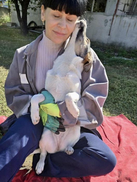 NADZIEJA – 5 mięs. Kochana sunia