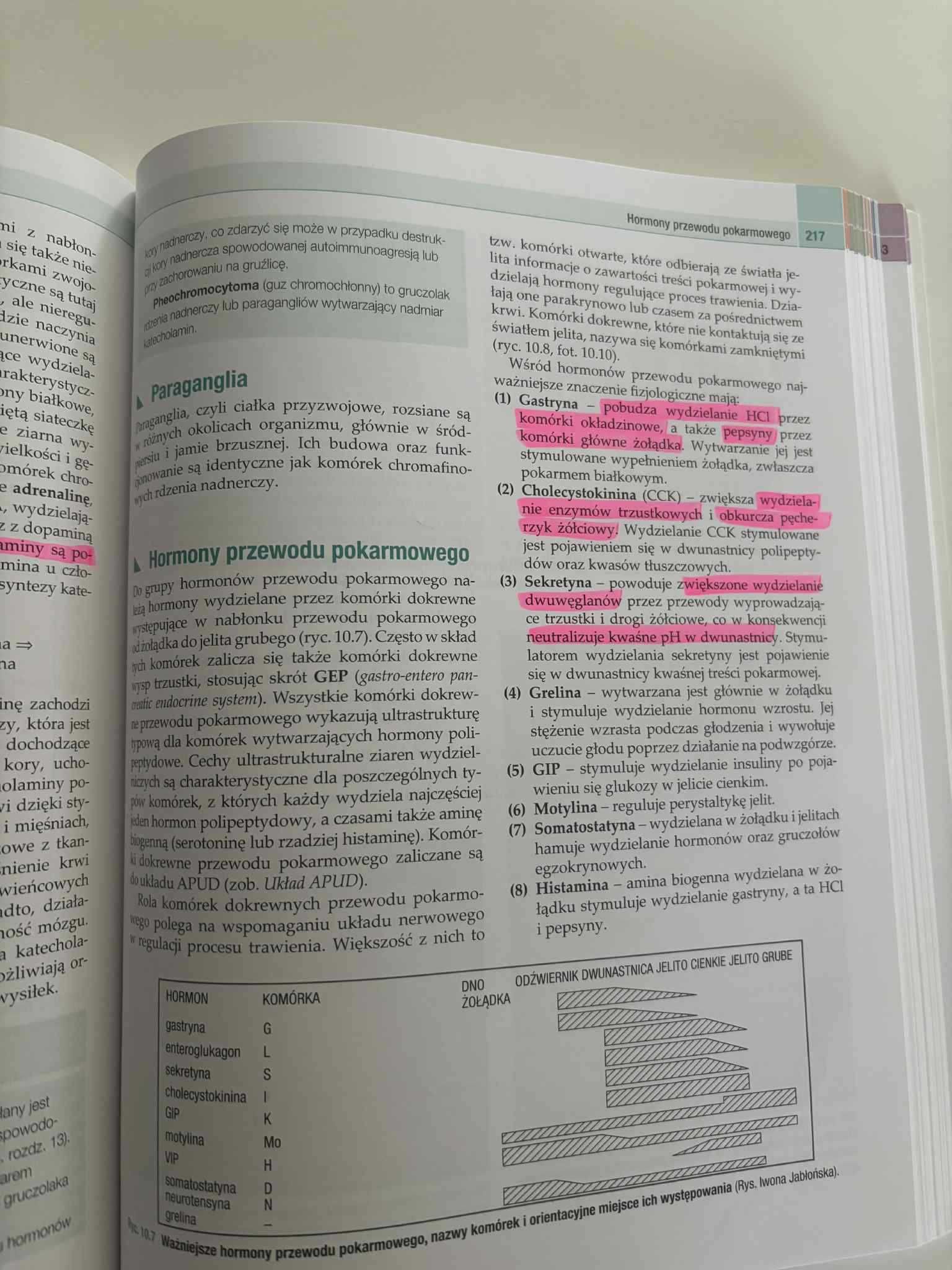 Histologia Zabla, Zabel