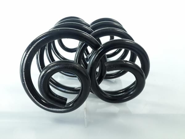 Mola de suspensão trás direita NISSAN Qashqai/Qashqai+2 I (J10, JJ10)