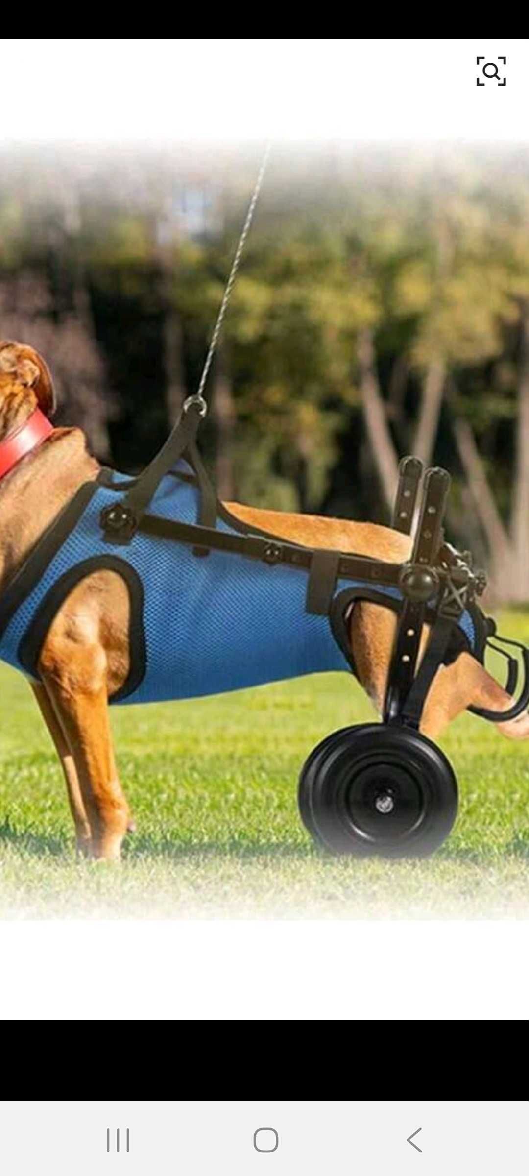 Carrinho de rodas para cães