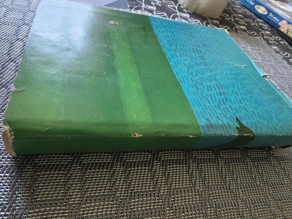 302. Książka dolina tęczy  rilla z złotego brzegu