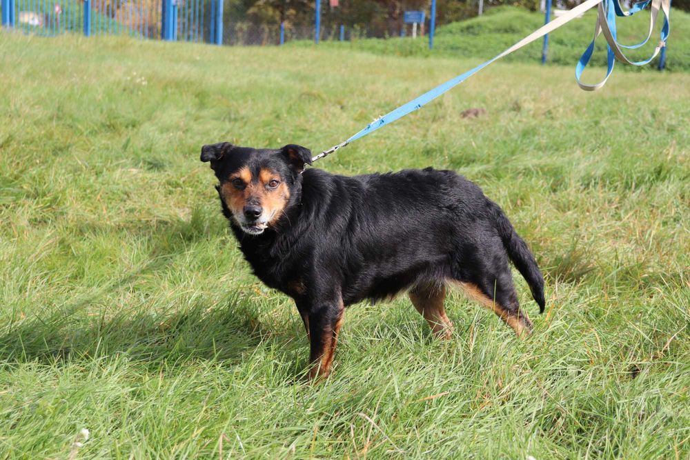 Atomek szuka domku | 15-letni