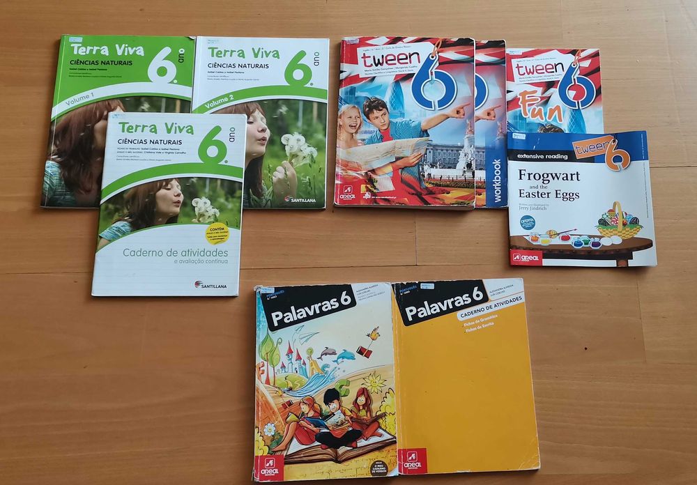 Manuais escolares (6 ano) - inglês, ciências (apenas CA) , português