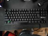 genesis 300 tkl green