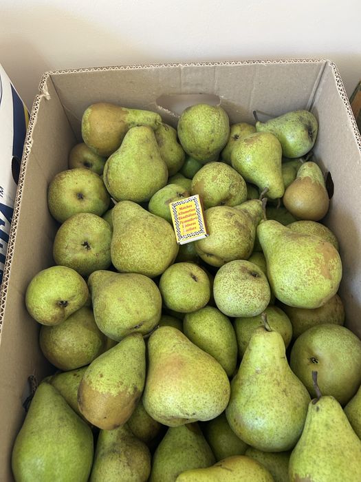 Еко груша ноябирська.грушка.груші.грушки