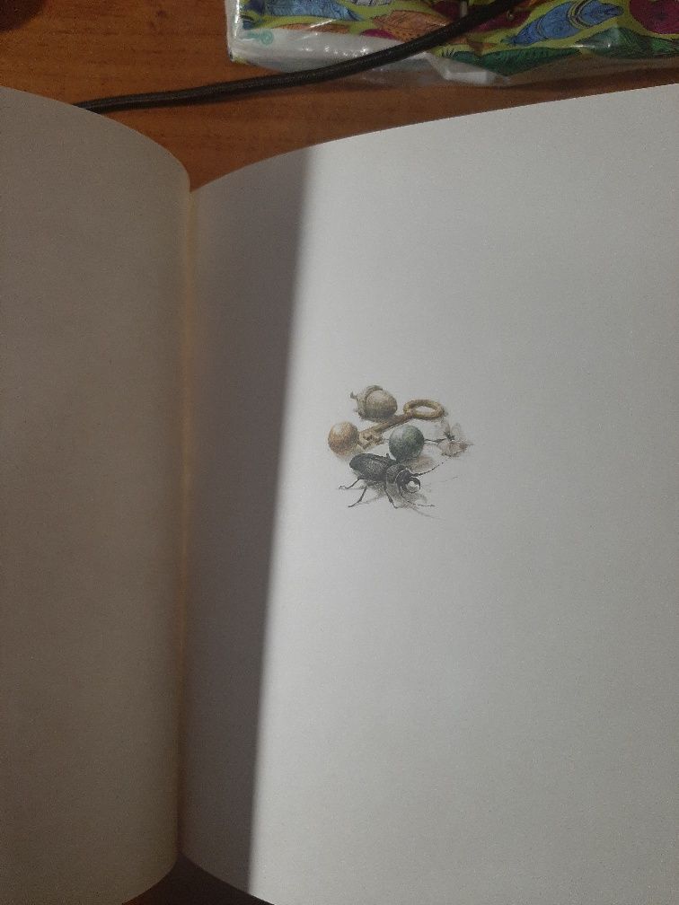 Книга " Приключения Тома Сойера"