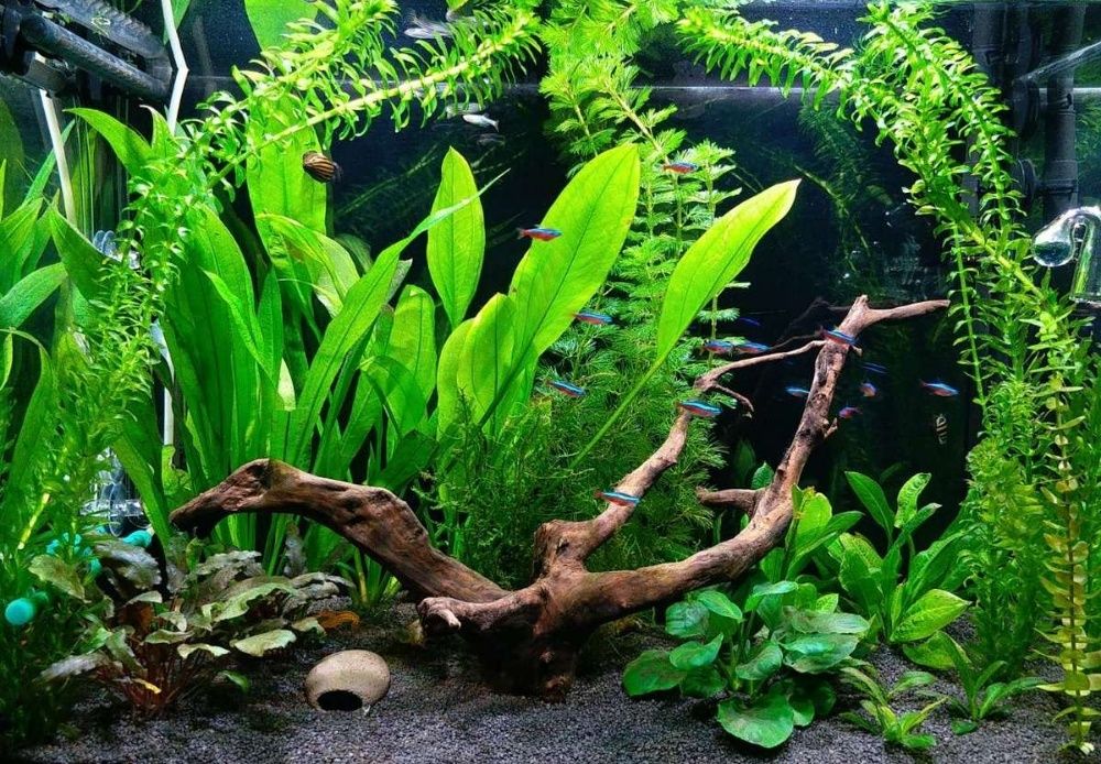 Аквариумный LED светильник