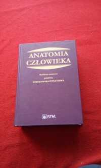 Anatomia człowieka Janina Pituchowa