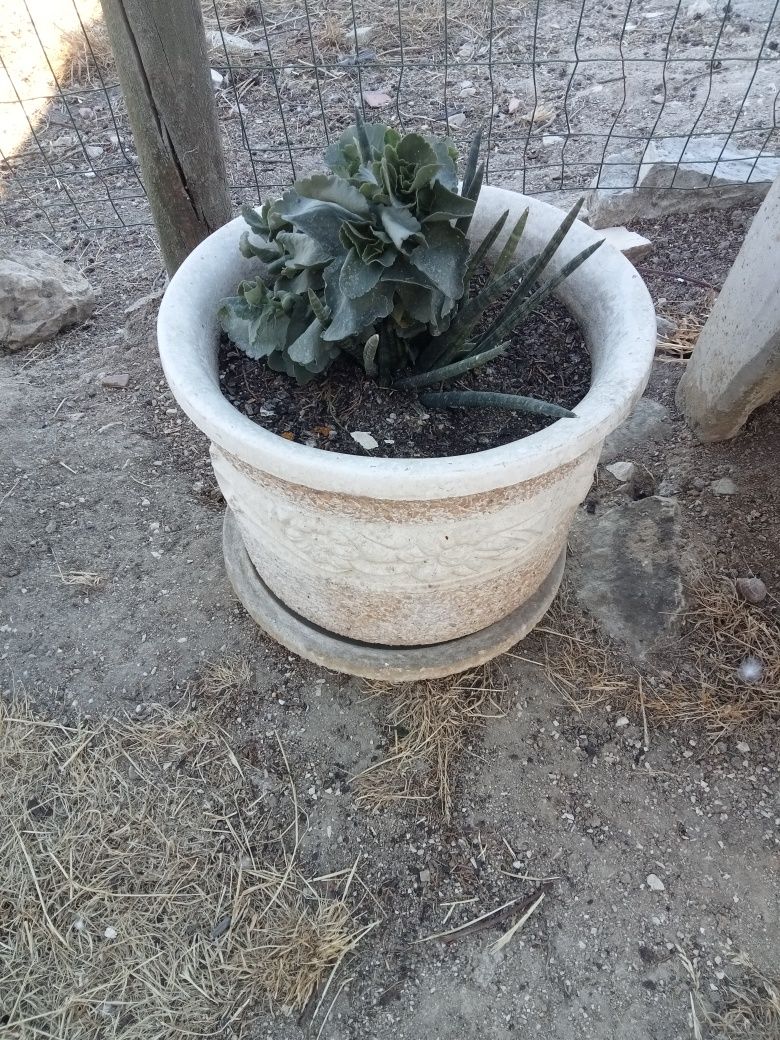 Vazos em Pedra Decorada