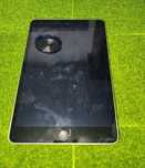 Apple Ipad mini 2
