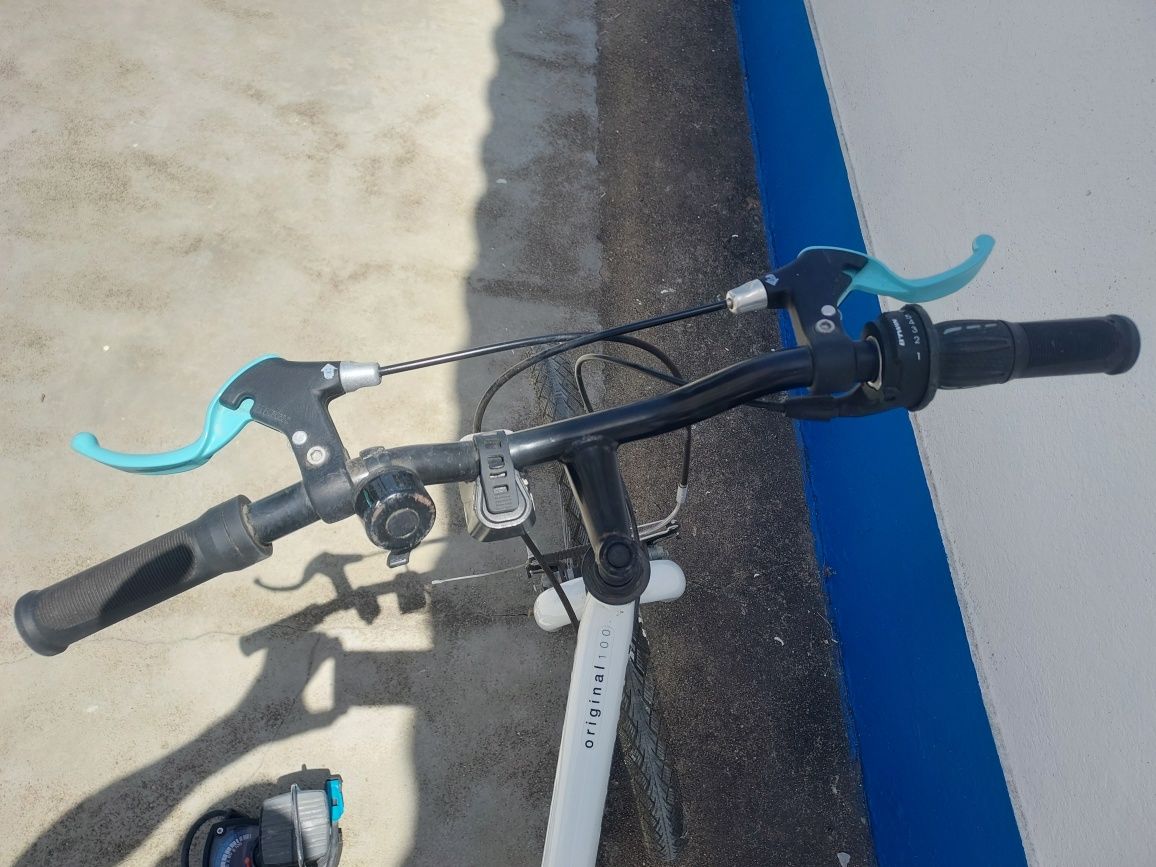 Bicicleta Branca