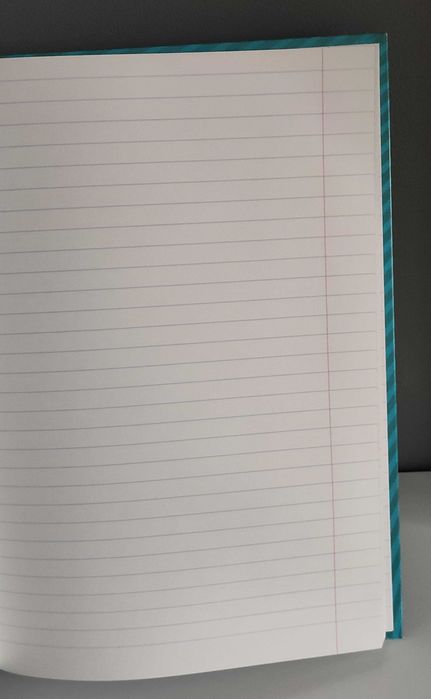 Nowy notatnik brulion A4 96 kartek w linie z marginesem