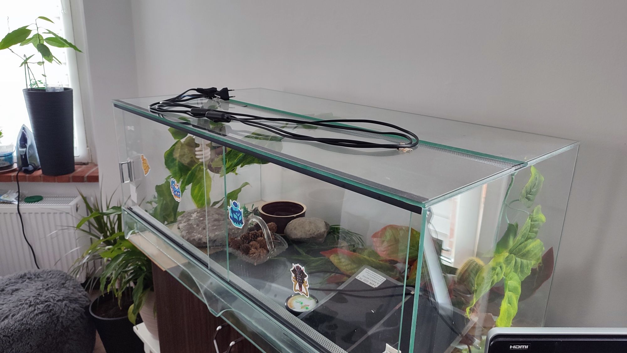 Terarium z drzwiami