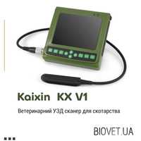 Ветеринарний УЗД сканер для скотарства KX V1, Kaixin