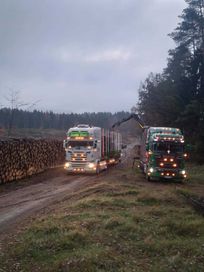 Zakład Usługowo- Transportowy Dariusz Chmal(Transport drewna po kraju)