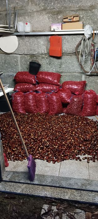 Castanhas Martinha, do produtor, com entrega ao domicílio