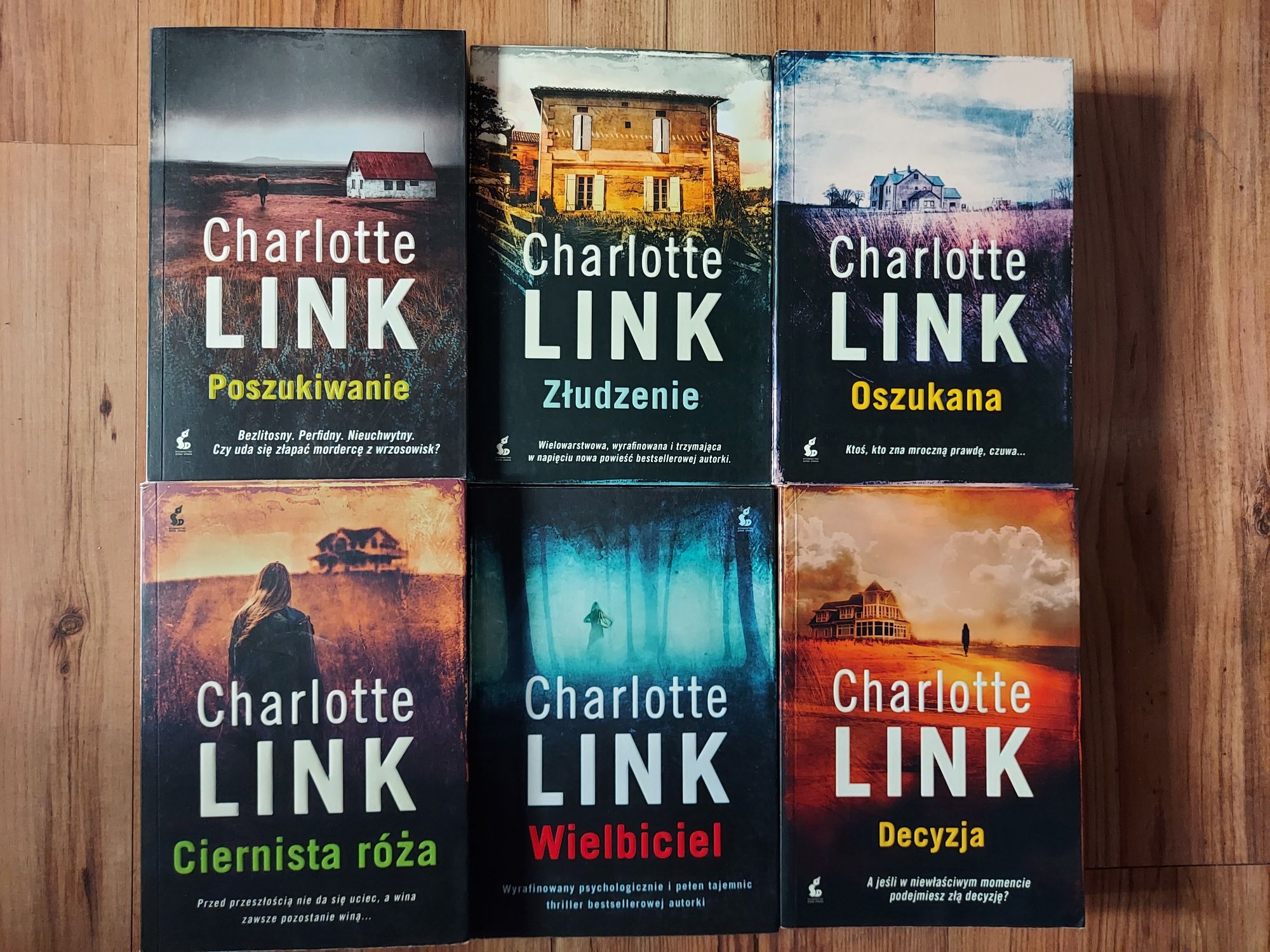 Charlotte Link zestaw 6 książek