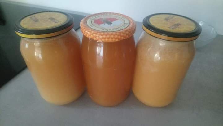 Miód 100% naturalny, kit pszczeli