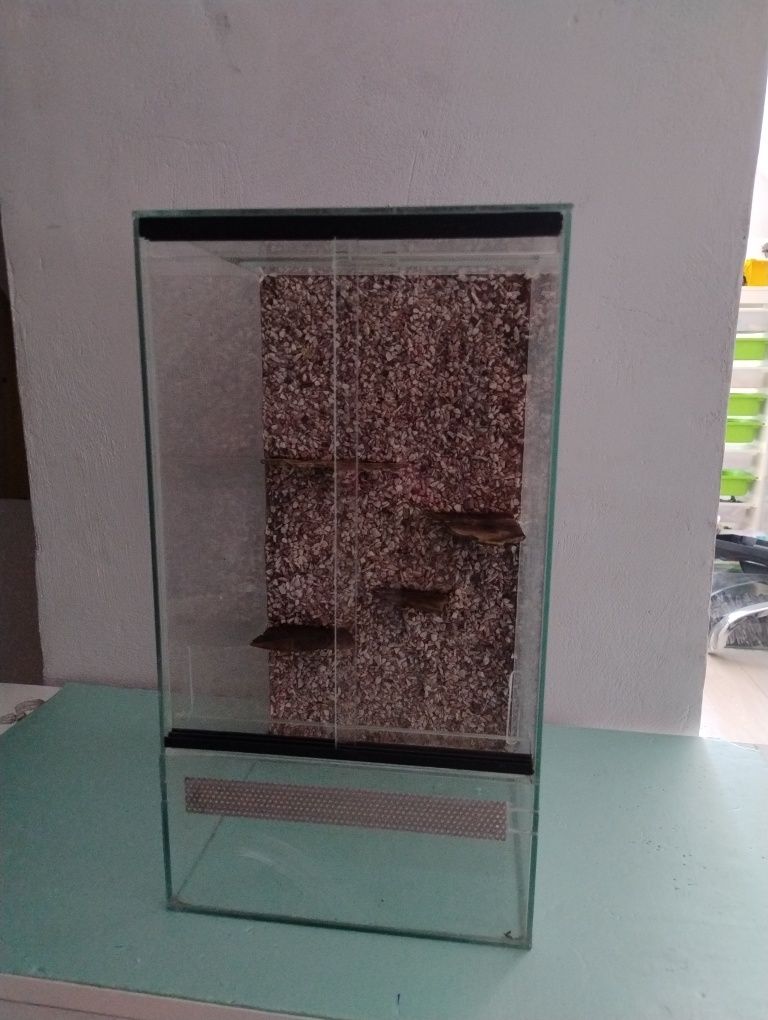 Terrarium pionowe 30x30x50 cm