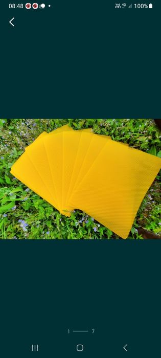 Przerób wosku na węzę, węza pszczela