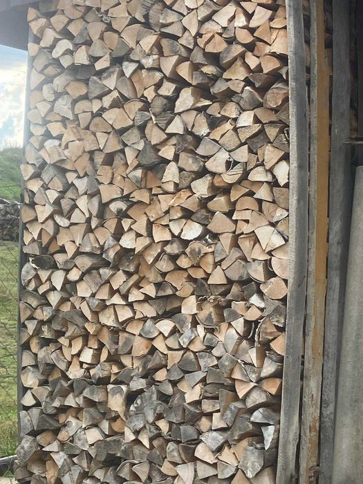 Drewno kominkowe suche