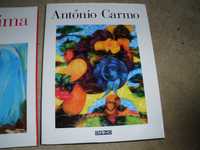 Livro António Carmo - Pintura Contemporânea (NOVO)